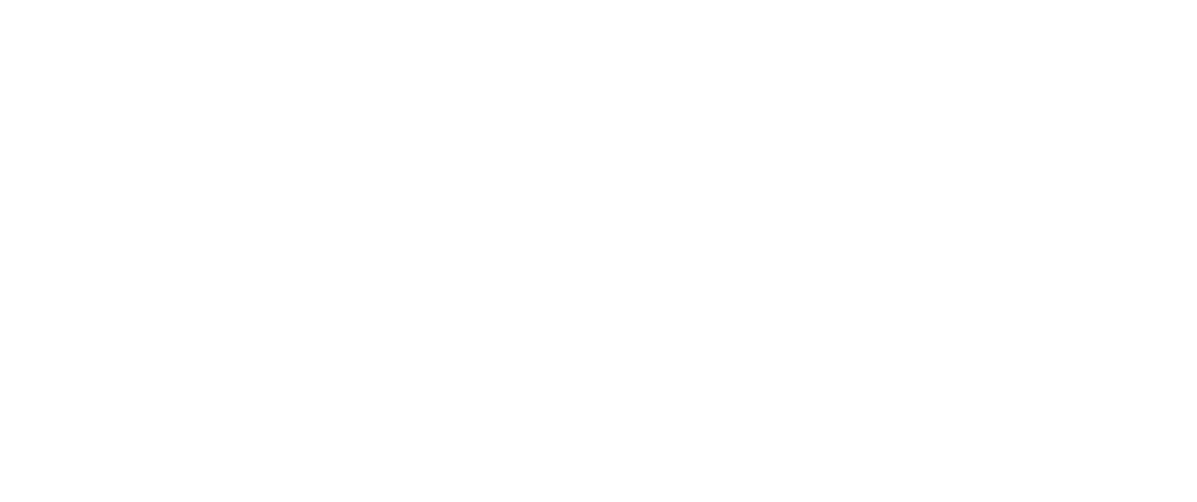 Logo Cybersec Wit